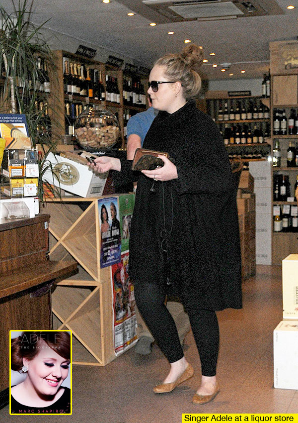 Adele Alcohol Problem