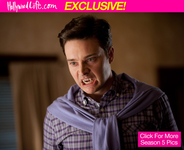 True Blood Steve Newlin