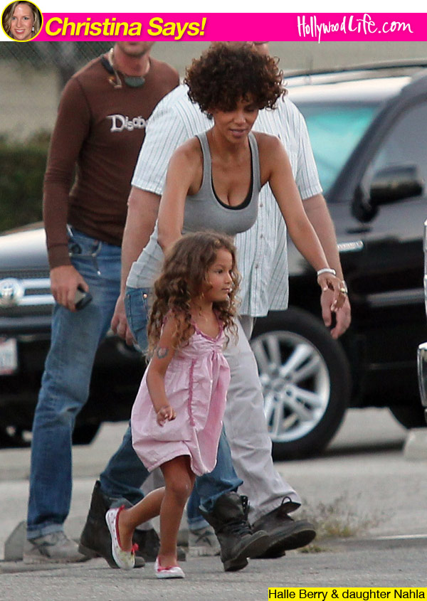 Halle Berry Custody Battle