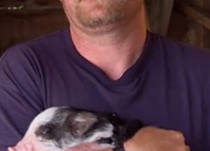 Mike Sugar Bear Thompson