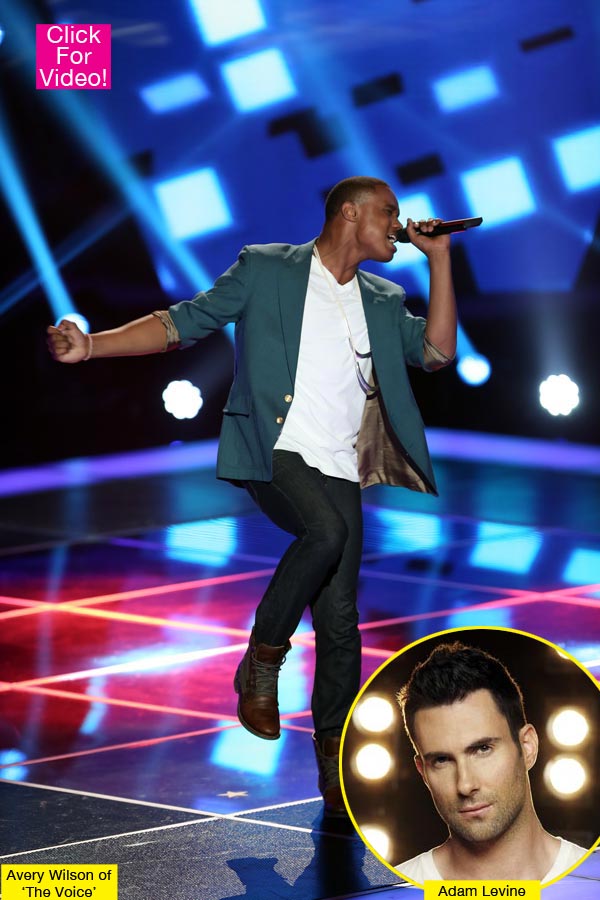 The Voice Season 3 Auditions