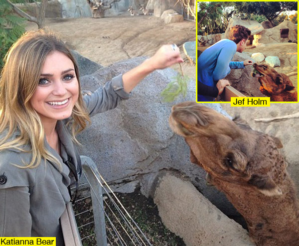 Jef Holm Katianna Bear Zoo Date