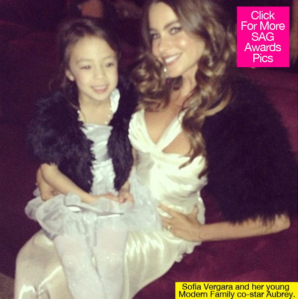 Sofia Vergara Matching SAG Awards