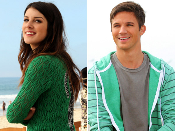 90210 Spoiler Annie Liam