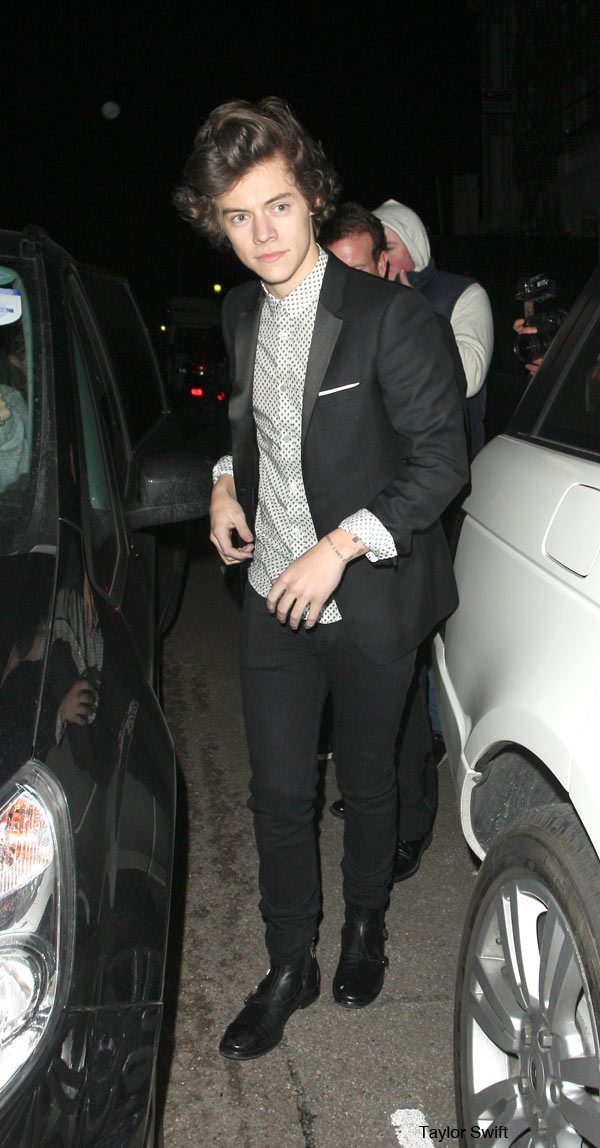 Harry Styles Millie Brady Date