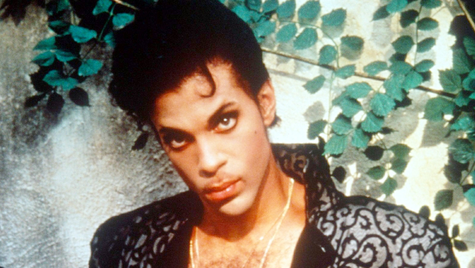 Prince Celebrity Profile