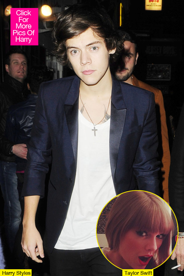 Harry Styles Hooking Up