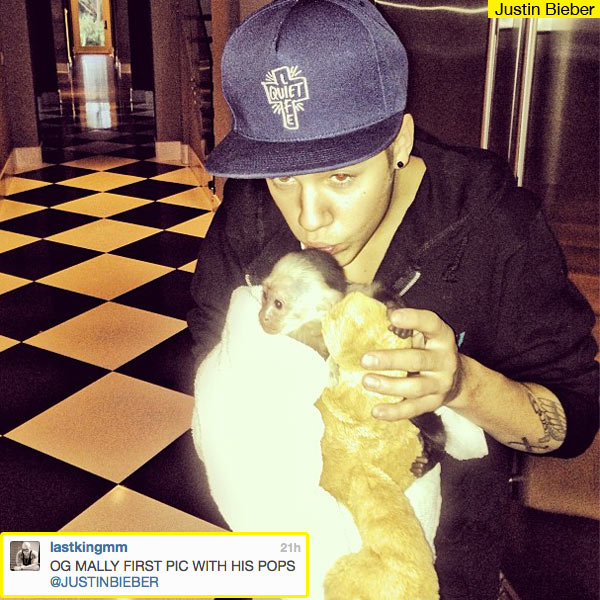 Justin Bieber Adopts Monkey