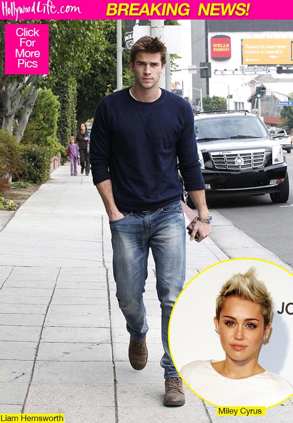 Liam Hemsworth Cancels Premiere