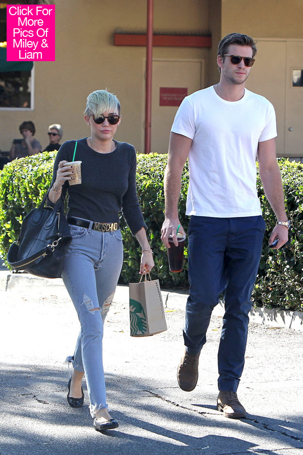 Miley Cyrus and Liam Hemsworth Fighting
