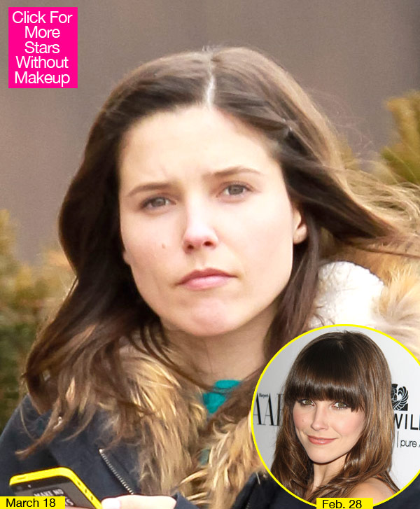 Sophia Bush Without Makeup