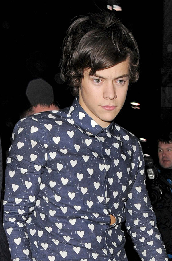 Chelsea Ferguson Harry Styles Hookup