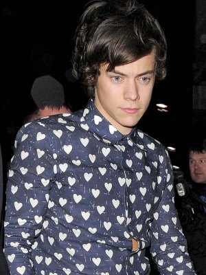 Chelsea Ferguson Harry Styles Hookup