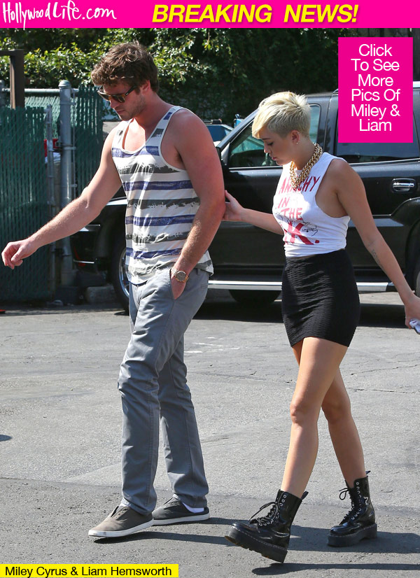 Liam Hemsworth Miley Cyrus Postpone Wedding