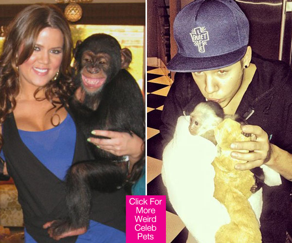 Weird Celebrity Pets