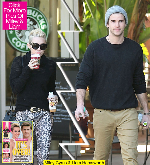 Miley Cyrus Liam Hemsworth Breakup