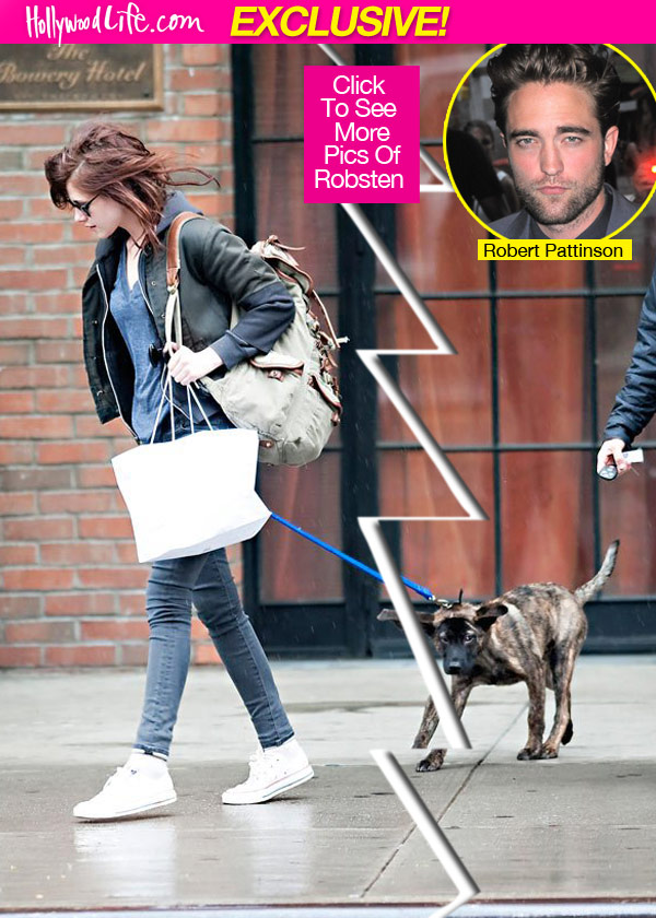 Robert Pattinson Custody Bear Bernie