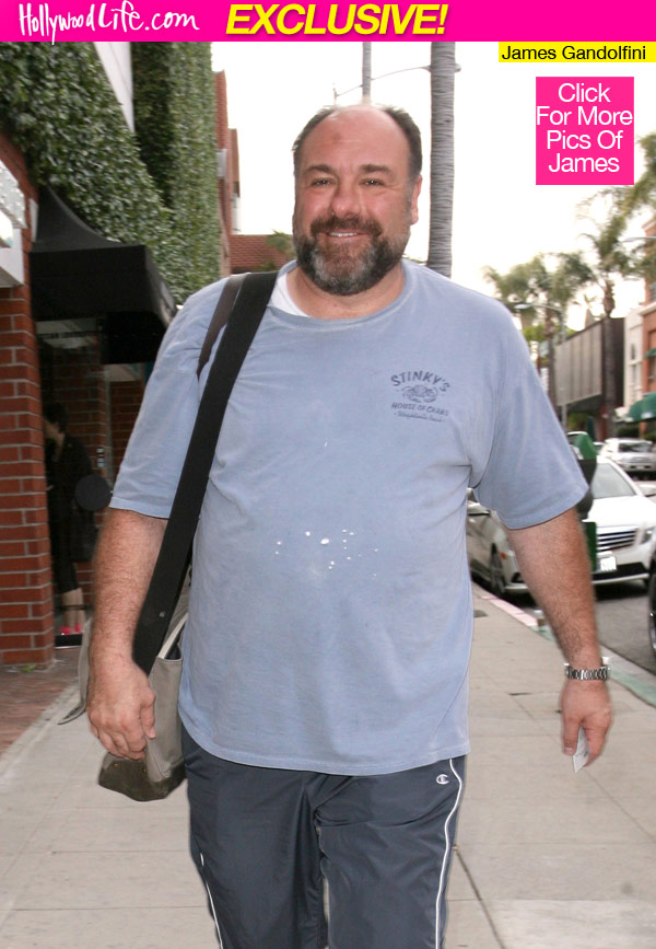 James Gandolfini Health Issues