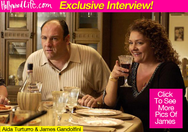 Aida Turturro James Gandolfini Death