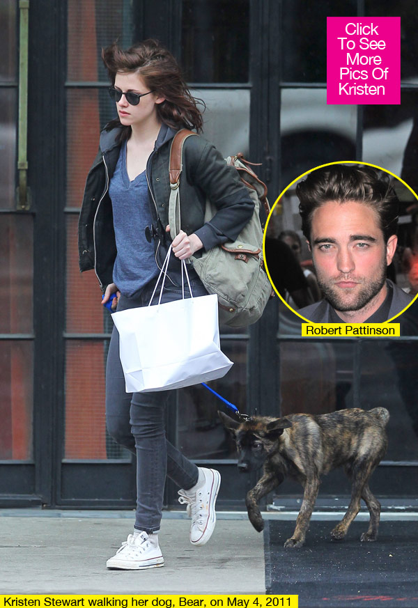Kristen Stewart New Dog