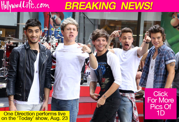 One Direction Today Show Performance