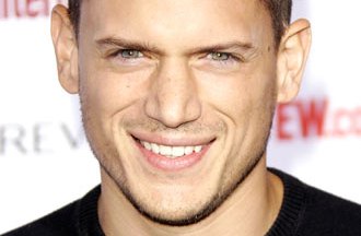 Wentworth Miller Bio