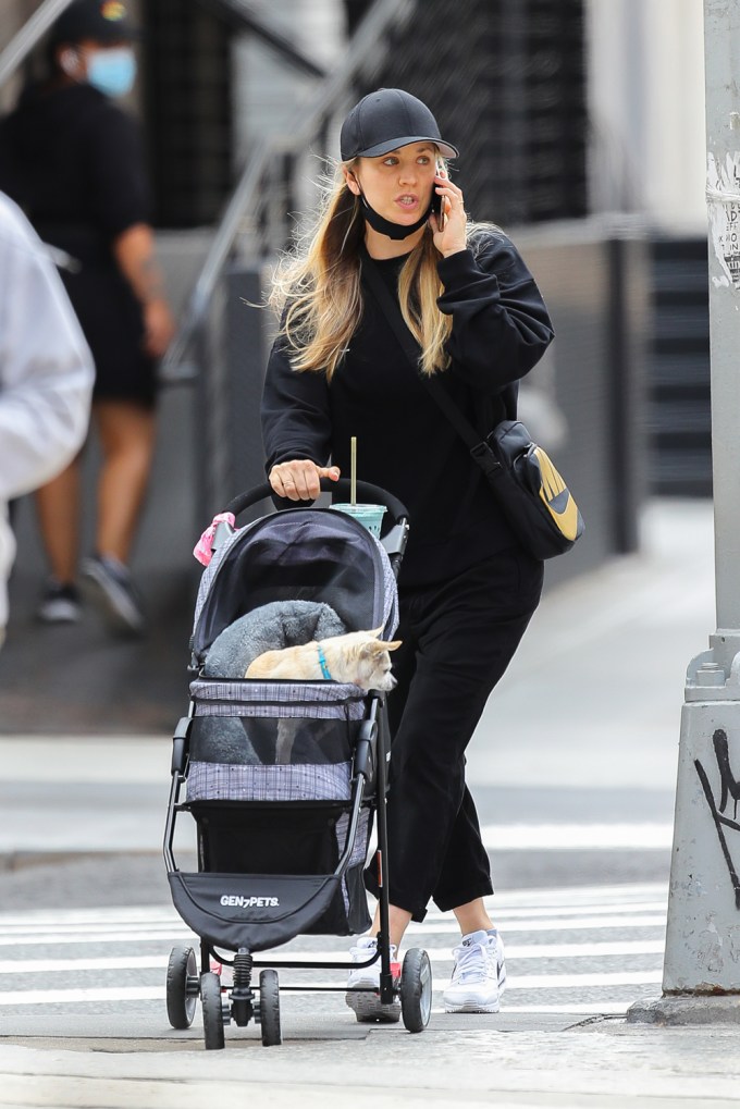 Kaley Cuoco Takes Her Dog For A Walk