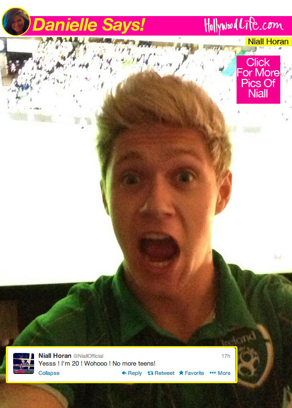 Niall Horan Birthday