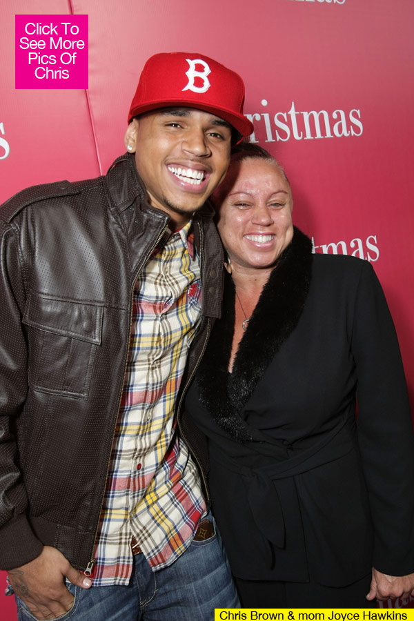 Chris Brown Mom Twitter Arrest