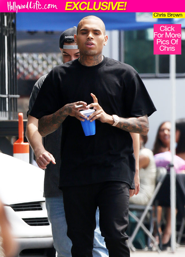 Chris Brown Virginity