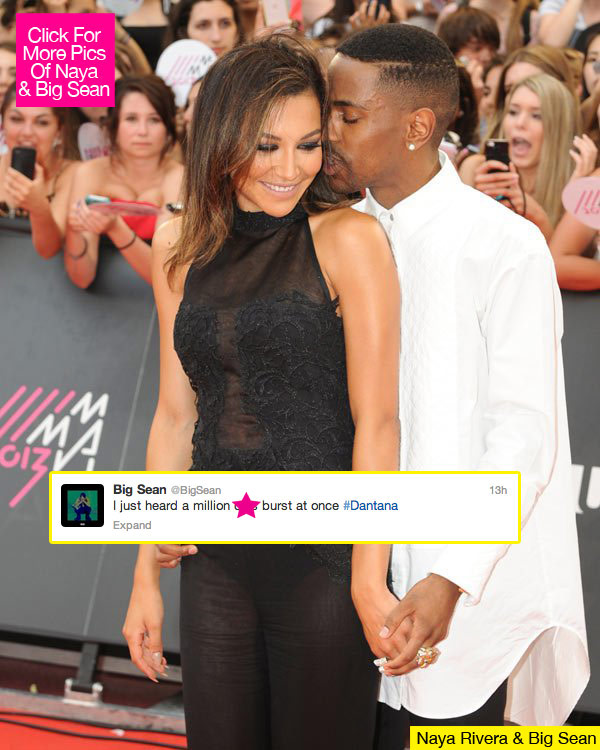 Big Sean Naya Rivera Tweet