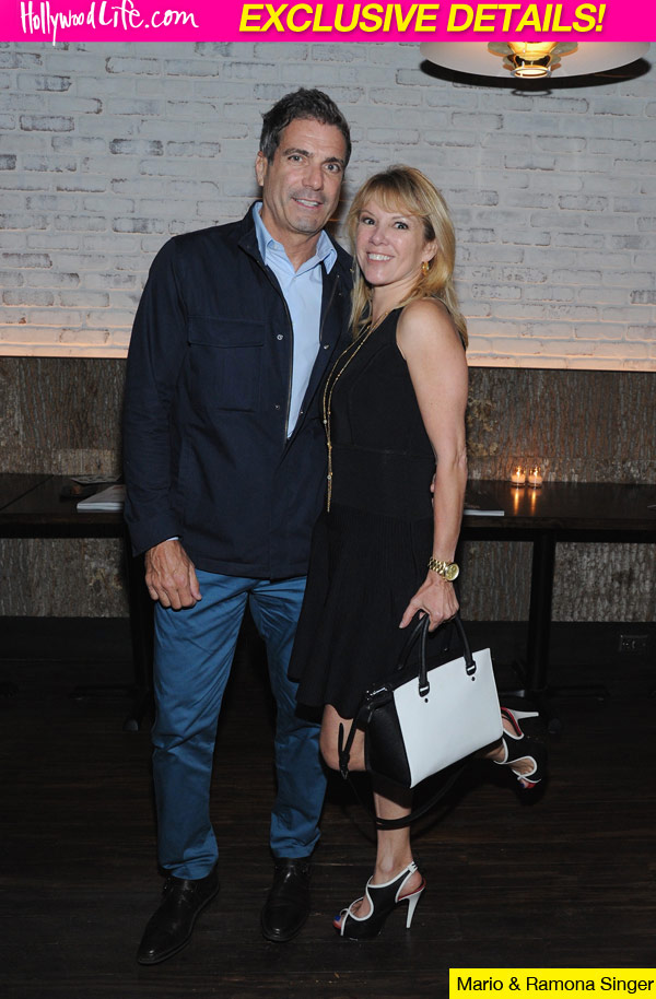 Ramona Singer Husband Affair