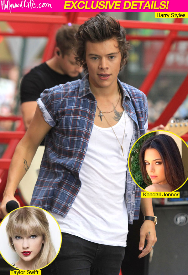 Harry Styles Girls