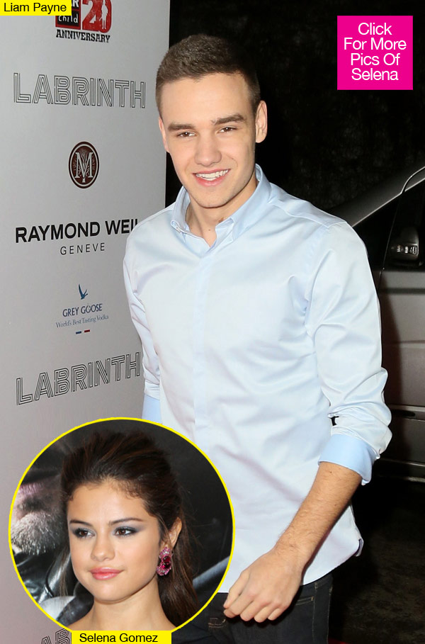 Liam Payne Selena Gomez Crush