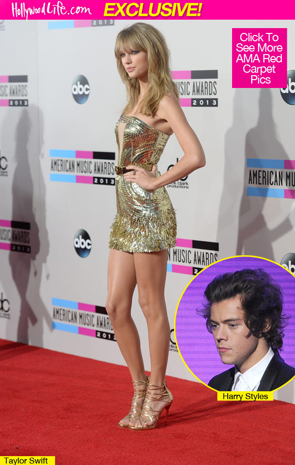 Taylor Swift Ignores Harry Styles