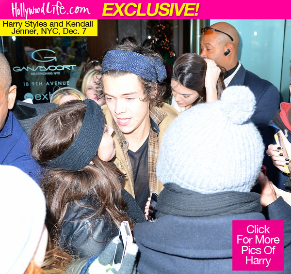 Kendall Jenner Harry Styles Falling In Love
