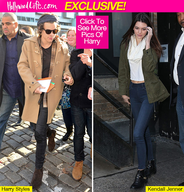 Harry Styles Kendall Jenner Relationship
