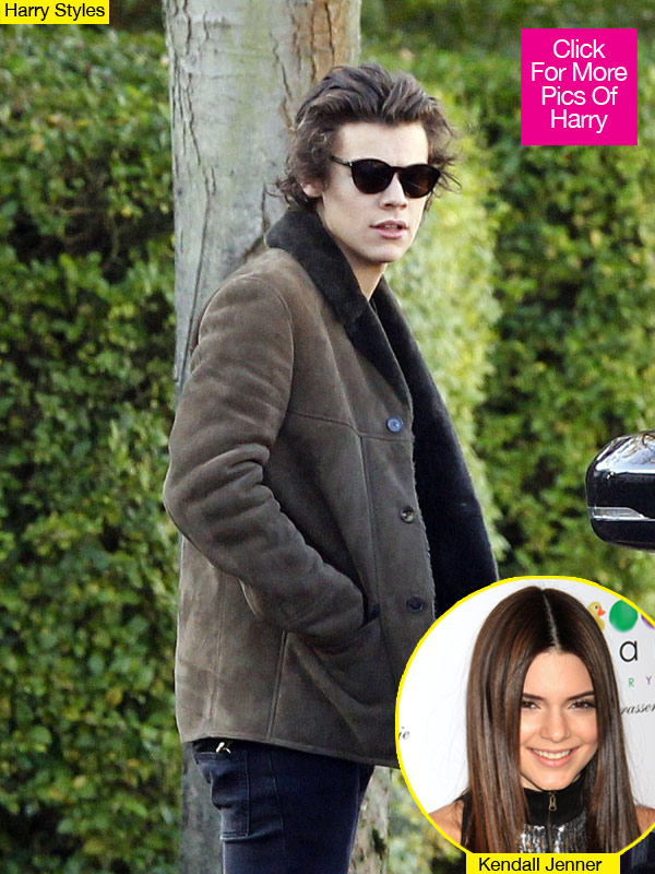 Harry Styles Kendall Jenner Boring