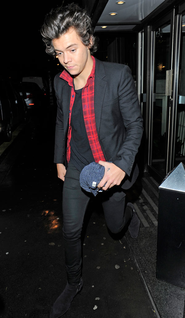 Harry Styles Birthday Pics