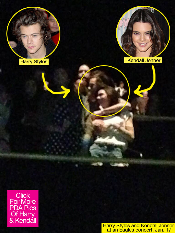 Kendall Jenner Harry Styles Concert Date