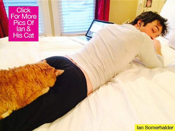 Ian Somerhalder Cat Butt