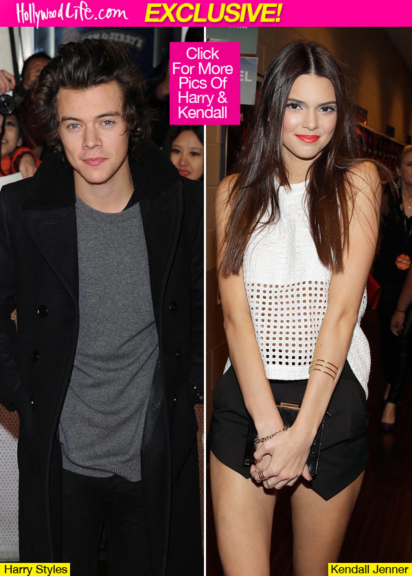 Harry Styles Kendall Jenner Relationship