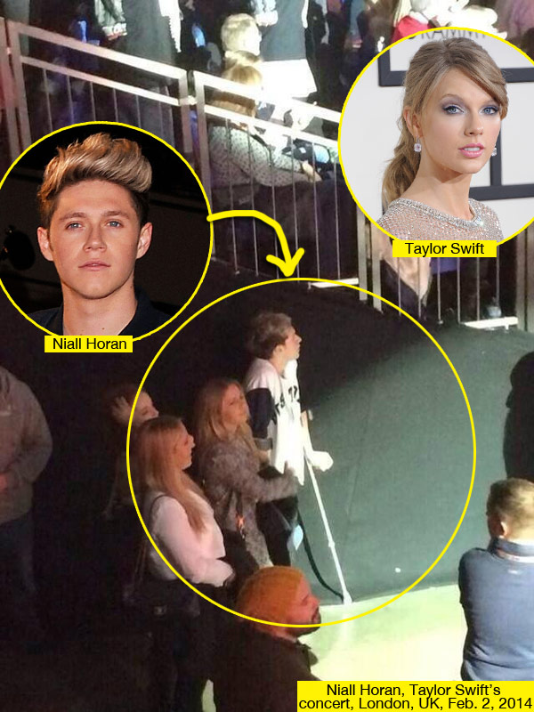 Niall Horan Taylor Swift Concert