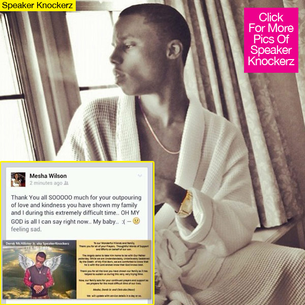 Speaker Knockerz Mother Speechless