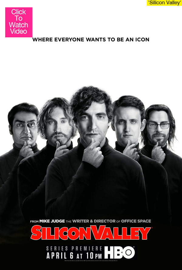 Silicon Valley Review