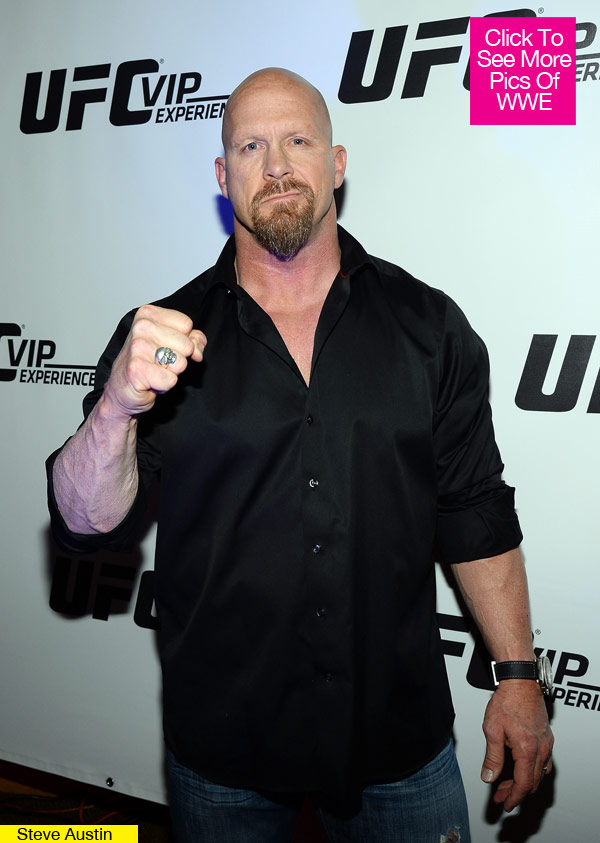 Stone Cold Steve Austin Gay Marriage
