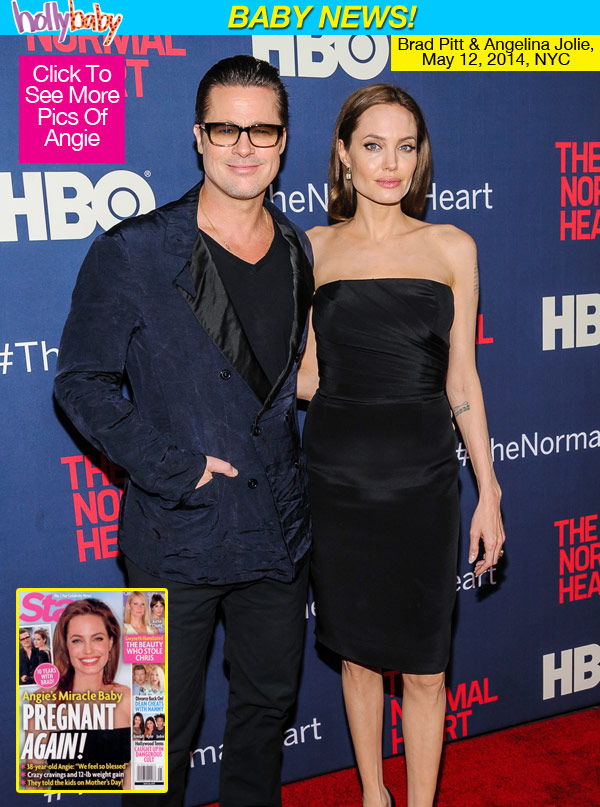 Angelina Jolie Pregnant IVF Treatment