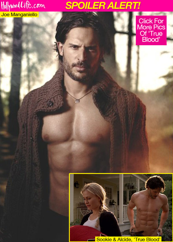 Alcide Dead True Blood