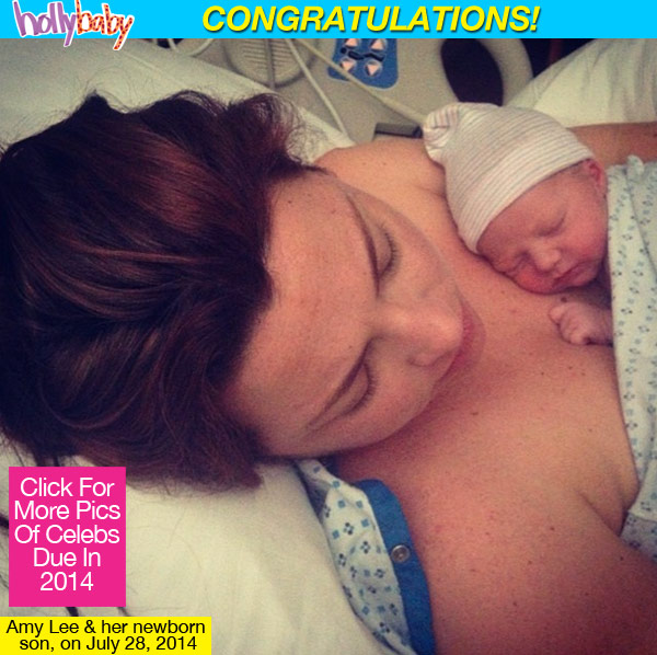 Amy Lee Gives Birth