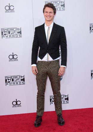 Ansel Elgort
American Music Awards, Arrivals, Los Angeles, America - 23 Nov 2014